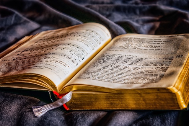 Ontleden en begrijpen: de wereld van boekgenres, literaire kritiek, publicatieprocessen en hun impact op de samenleving